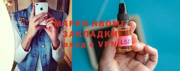 стаф Алзамай